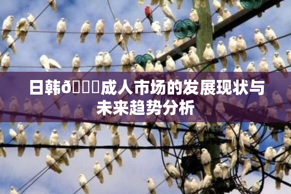 日韩🔞成人市场的发展现状与未来趋势分析