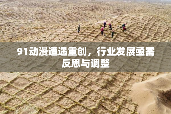91动漫遭遇重创，行业发展亟需反思与调整
