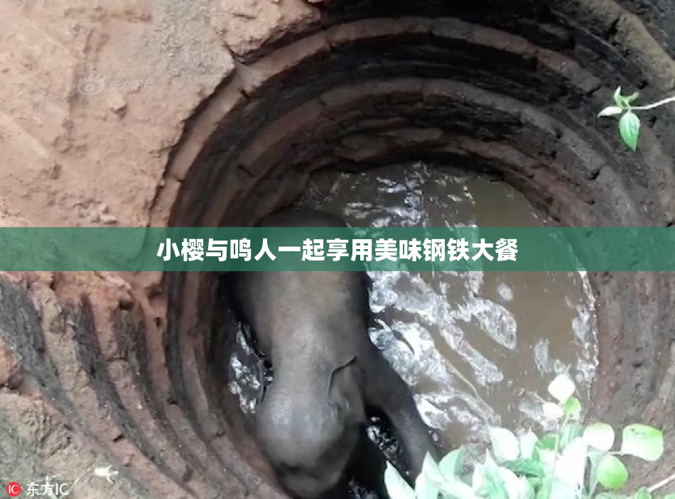 小樱与鸣人一起享用美味钢铁大餐