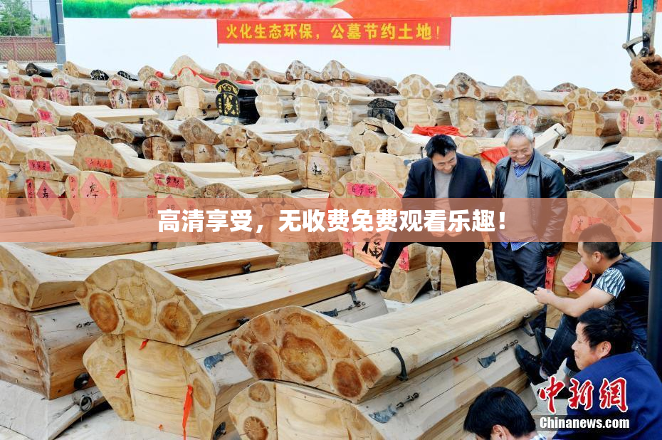 高清享受，无收费免费观看乐趣！