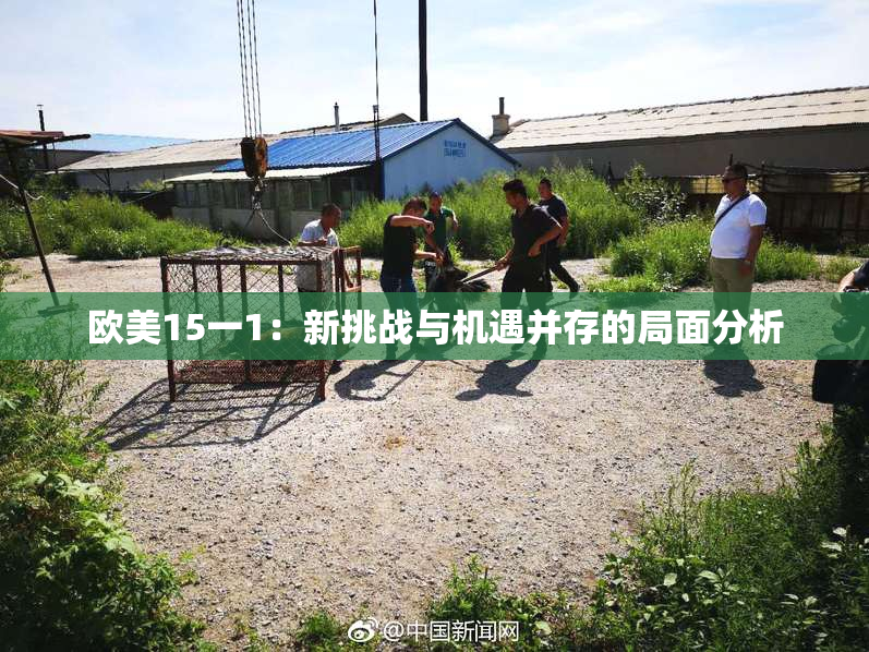欧美15一1：新挑战与机遇并存的局面分析