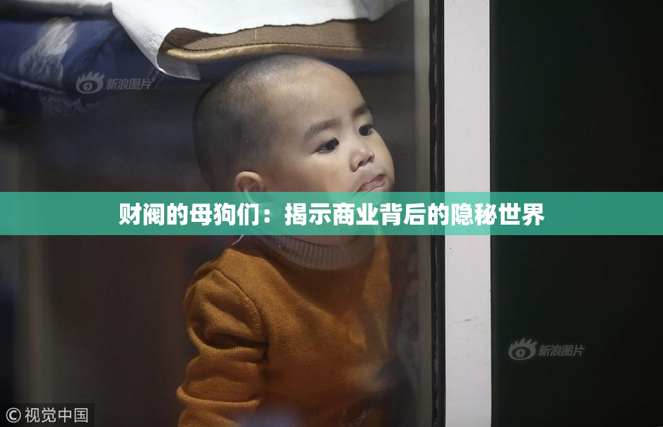 财阀的母狗们：揭示商业背后的隐秘世界
