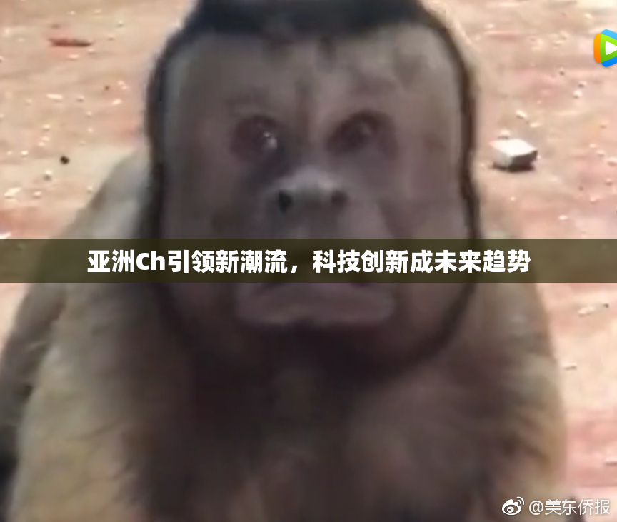 亚洲Ch引领新潮流，科技创新成未来趋势