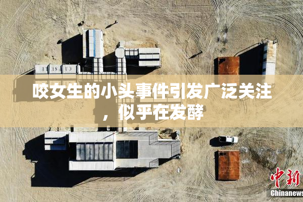 咬女生的小头事件引发广泛关注，似乎在发酵