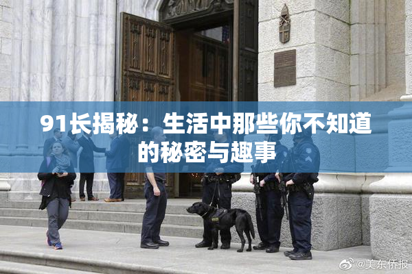 91长揭秘：生活中那些你不知道的秘密与趣事
