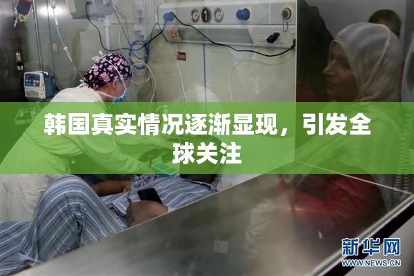 韩国真实情况逐渐显现，引发全球关注