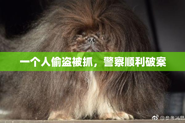 一个人偷盗被抓，警察顺利破案