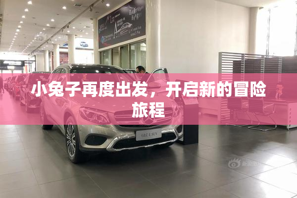 小兔子再度出发，开启新的冒险旅程