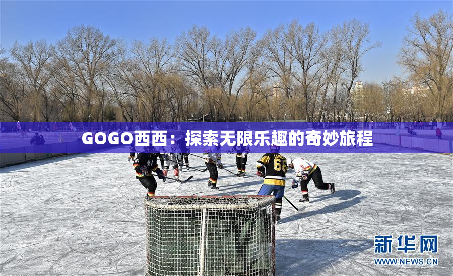 GOGO西西：探索无限乐趣的奇妙旅程