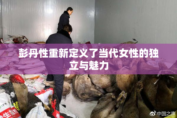 彭丹性重新定义了当代女性的独立与魅力
