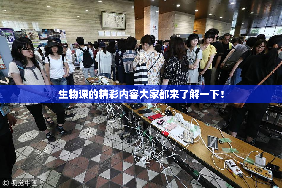 生物课的精彩内容大家都来了解一下！