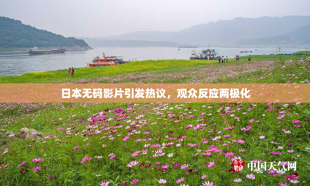 日本无码影片引发热议，观众反应两极化