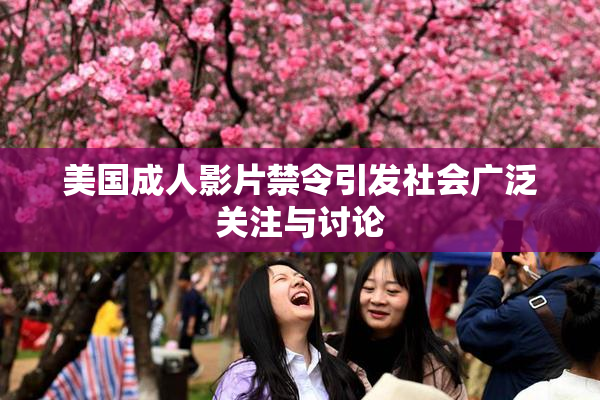 美国成人影片禁令引发社会广泛关注与讨论