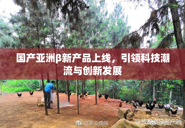 国产亚洲β新产品上线，引领科技潮流与创新发展