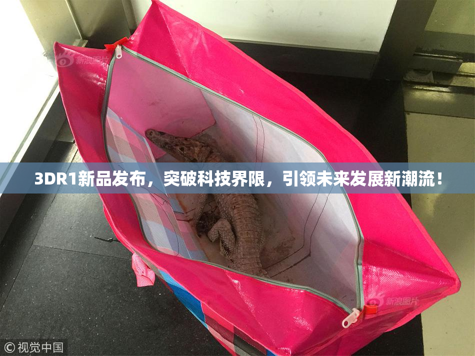 3DR1新品发布，突破科技界限，引领未来发展新潮流！