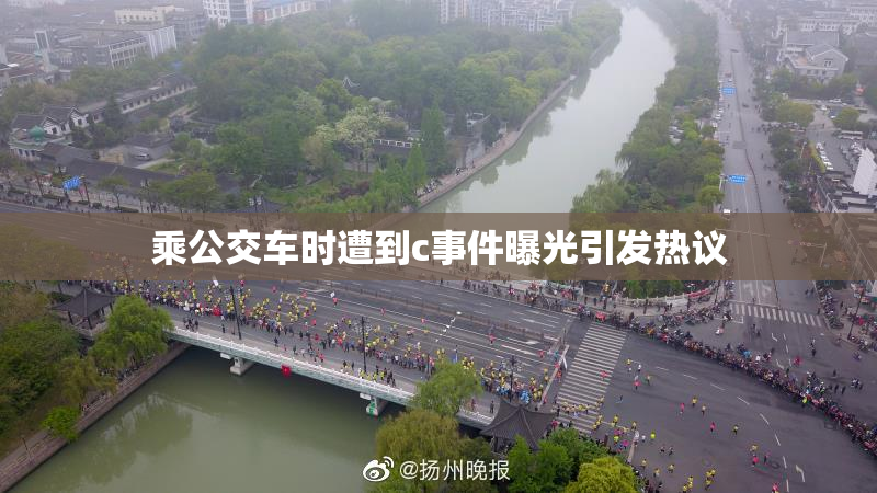 乘公交车时遭到c事件曝光引发热议