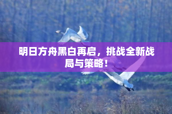 明日方舟黑白再启，挑战全新战局与策略！