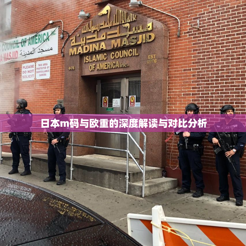 日本m码与欧重的深度解读与对比分析