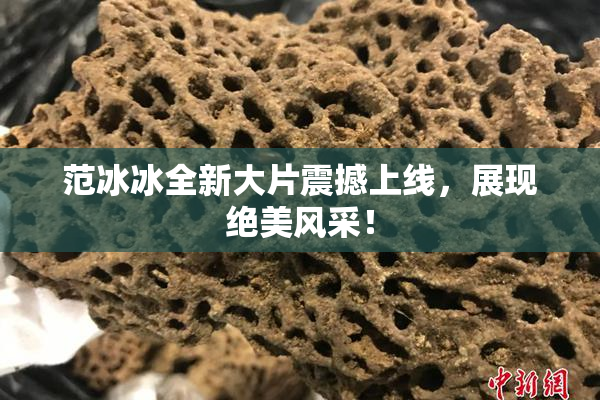 范冰冰全新大片震撼上线，展现绝美风采！
