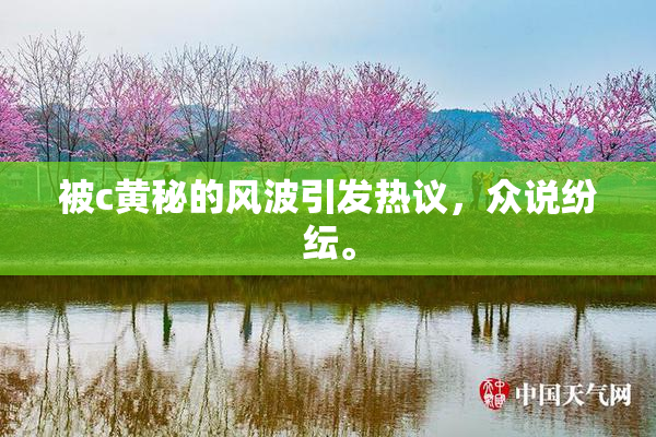 被c黄秘的风波引发热议，众说纷纭。