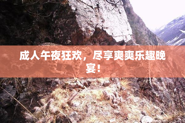 成人午夜狂欢，尽享爽爽乐趣晚宴！