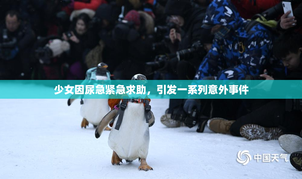 少女因尿急紧急求助，引发一系列意外事件