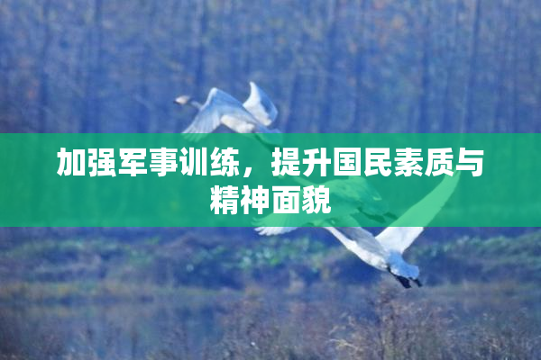 加强军事训练，提升国民素质与精神面貌