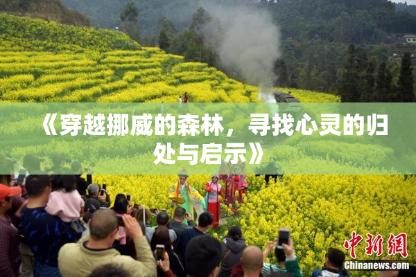 《穿越挪威的森林，寻找心灵的归处与启示》