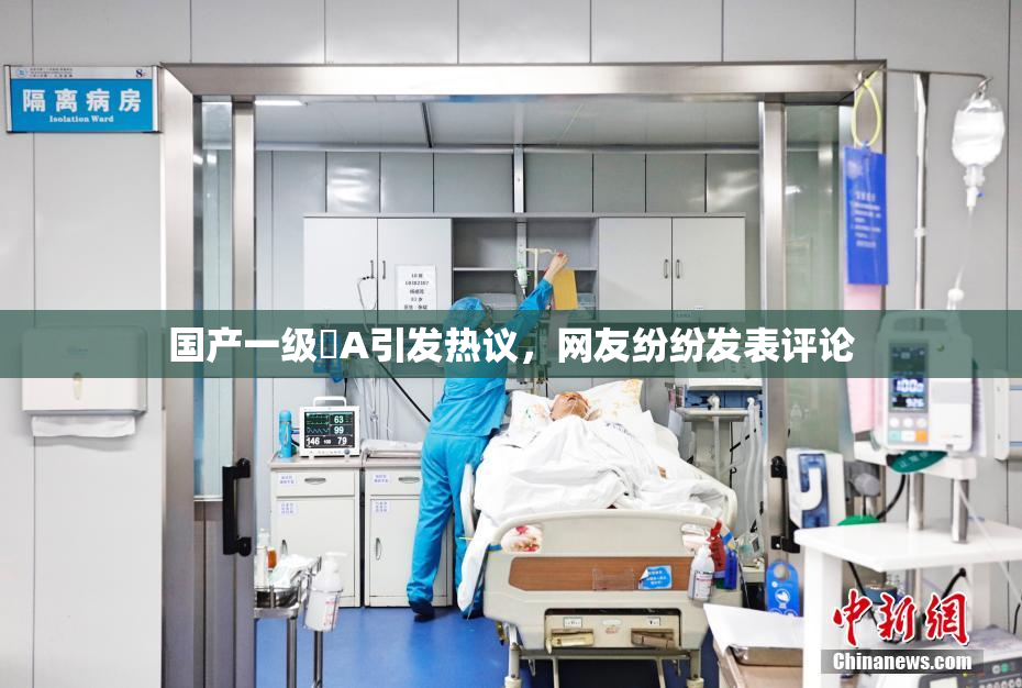 国产一级婬A引发热议，网友纷纷发表评论