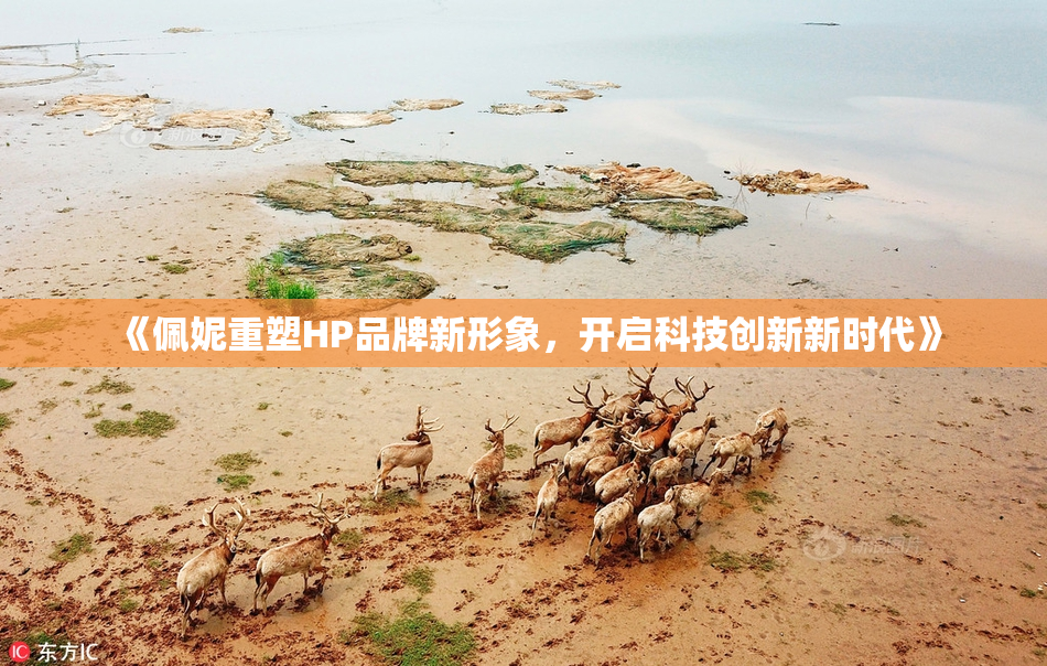 《佩妮重塑HP品牌新形象，开启科技创新新时代》