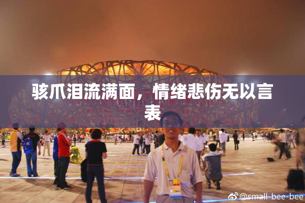 骇爪泪流满面，情绪悲伤无以言表