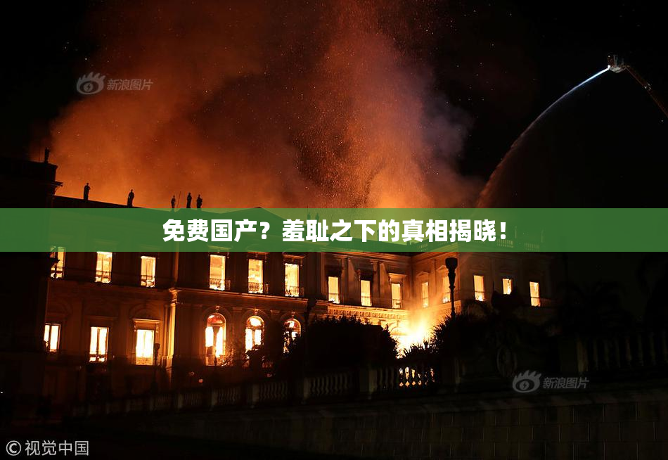 免费国产？羞耻之下的真相揭晓！