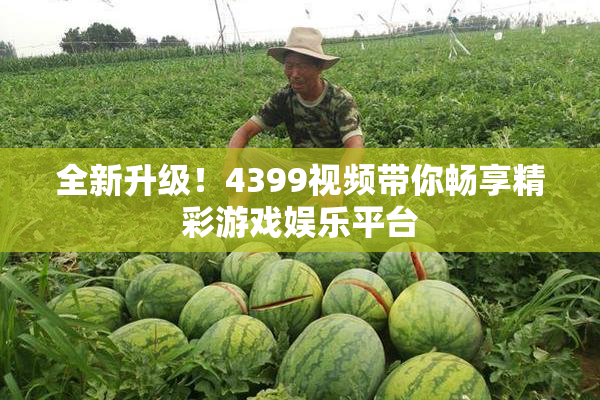 全新升级！4399视频带你畅享精彩游戏娱乐平台