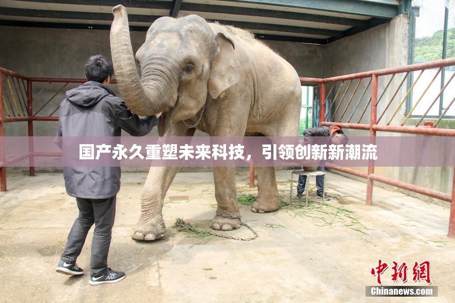国产永久重塑未来科技，引领创新新潮流
