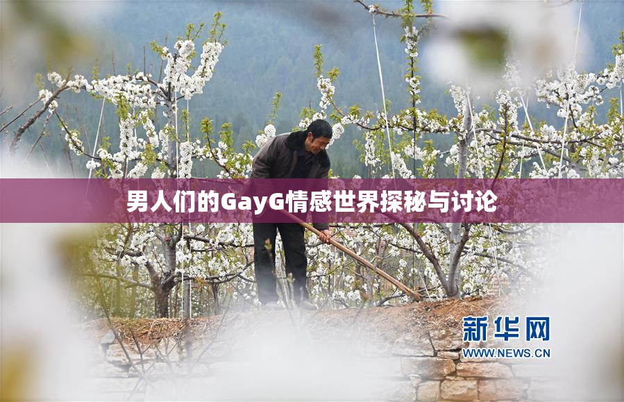 男人们的GayG情感世界探秘与讨论