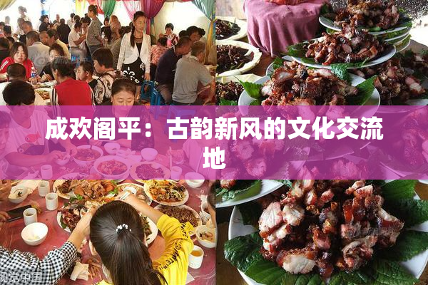 成欢阁平：古韵新风的文化交流地
