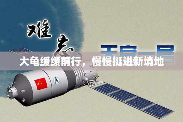 大龟缓缓前行，慢慢挺进新境地