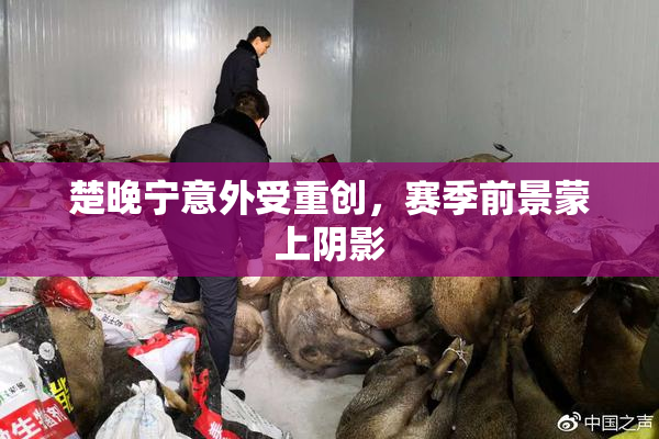 楚晚宁意外受重创，赛季前景蒙上阴影
