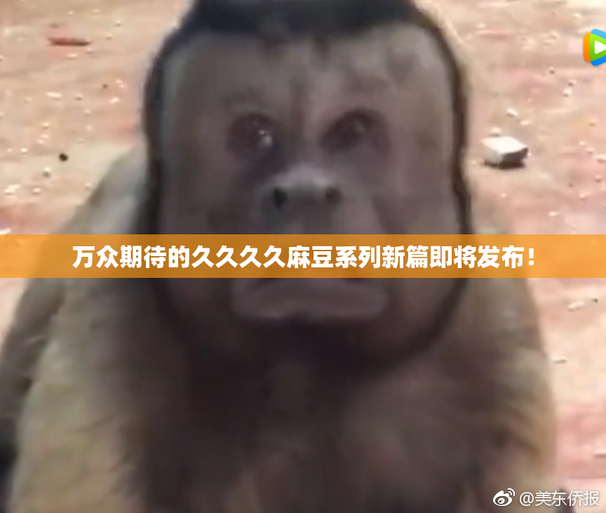 万众期待的久久久久麻豆系列新篇即将发布！