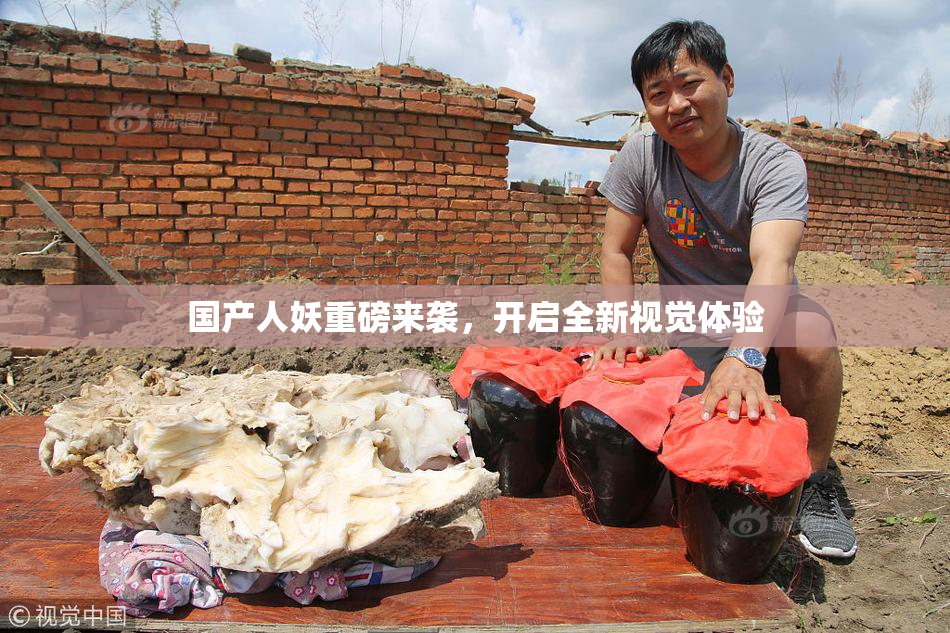 国产人妖重磅来袭，开启全新视觉体验