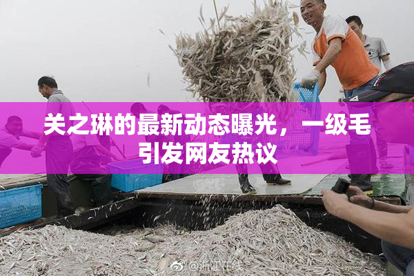 关之琳的最新动态曝光，一级毛引发网友热议
