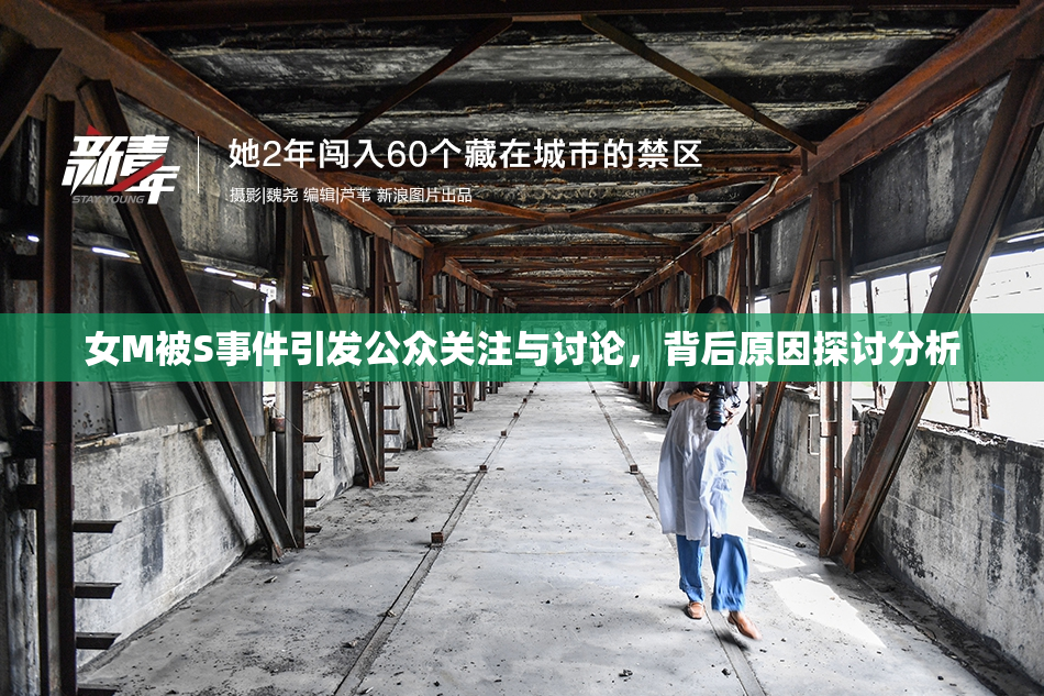 女M被S事件引发公众关注与讨论，背后原因探讨分析