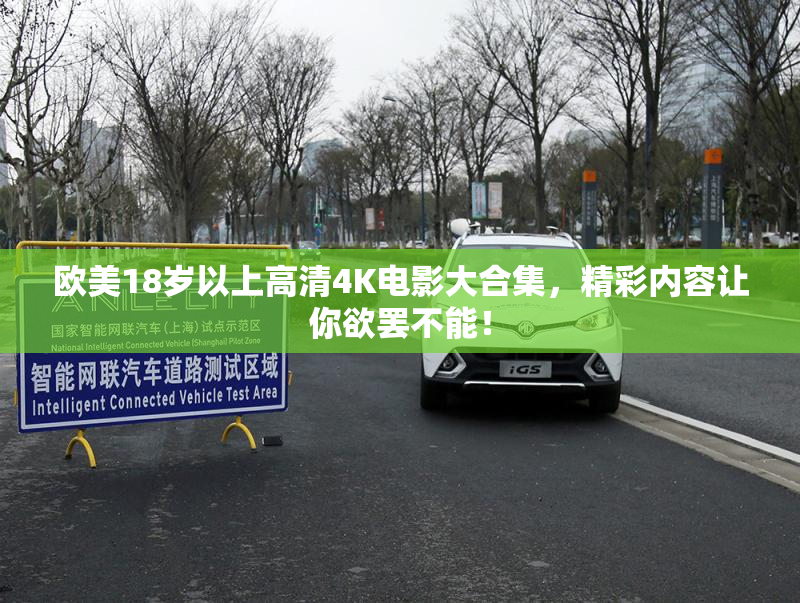 欧美18岁以上高清4K电影大合集，精彩内容让你欲罢不能！