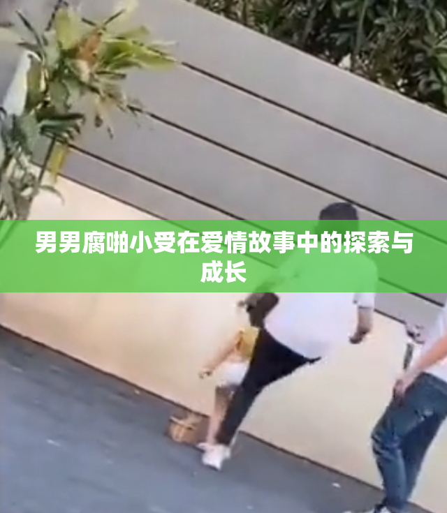 男男腐啪小受在爱情故事中的探索与成长