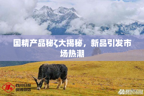 国精产品秘ζ大揭秘，新品引发市场热潮