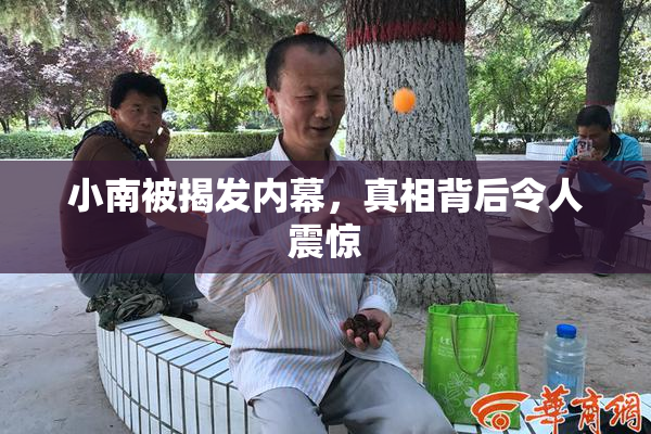 小南被揭发内幕，真相背后令人震惊
