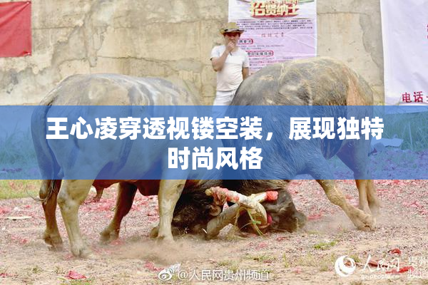 王心凌穿透视镂空装，展现独特时尚风格