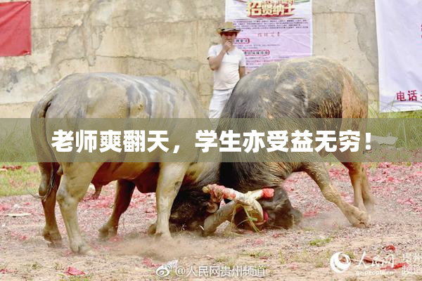 老师爽翻天，学生亦受益无穷！