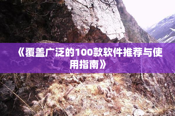 《覆盖广泛的100款软件推荐与使用指南》