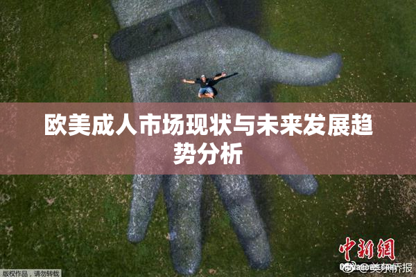 欧美成人市场现状与未来发展趋势分析